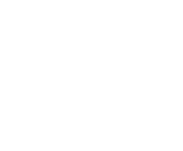 Evolution games at Sandro Casino